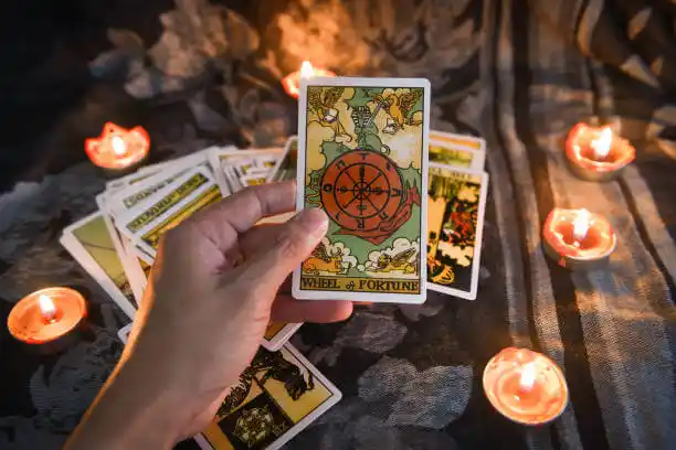 tarot cards Forest